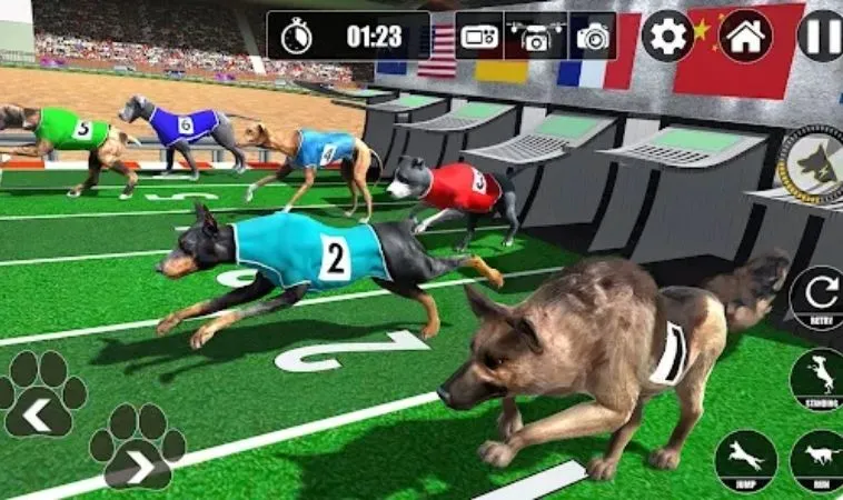 Cách Chơi Game Nhanh Đua Chó Tại Zik88 Hiệu Quả Nhất 2 Cách chơi game nhanh Đua Chó tại Zik88