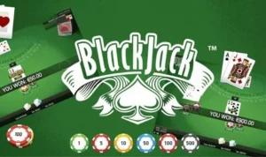 Blackjack Zik88
